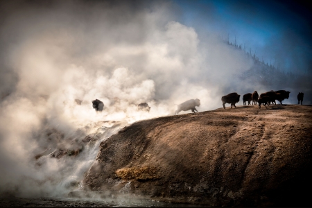 Ancient Spirits by artist Gray Hawn